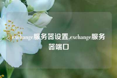 exchange服务器设置,exchange服务器端口