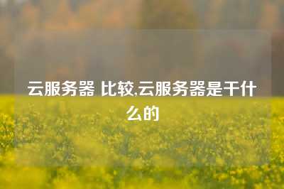 云服务器 比较,云服务器是干什么的