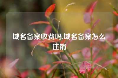 域名备案收费吗,域名备案怎么注销