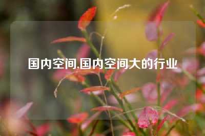 国内空间,国内空间大的行业