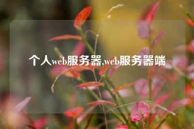 个人web服务器,web服务器端