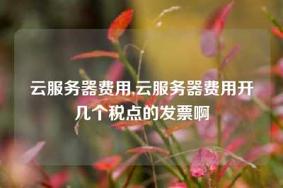 云服务器费用,云服务器费用开几个税点的发票啊