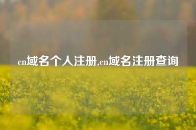 cn域名个人注册,cn域名注册查询