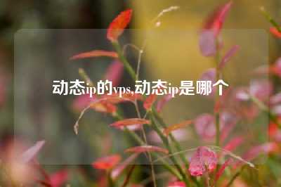 动态ip的vps,动态ip是哪个