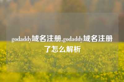 godaddy域名注册,godaddy域名注册了怎么解析
