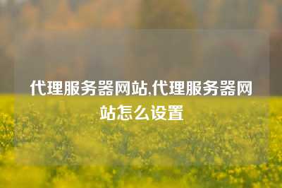 代理服务器网站,代理服务器网站怎么设置