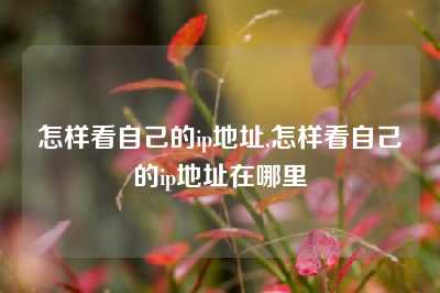 怎样看自己的ip地址,怎样看自己的ip地址在哪里