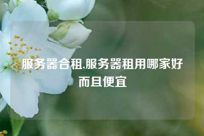服务器合租,服务器租用哪家好而且便宜