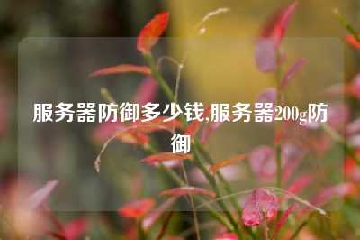 服务器防御多少钱,服务器200g防御