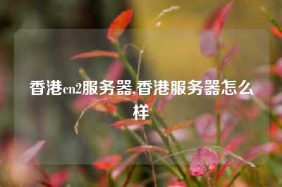 香港cn2服务器,香港服务器怎么样