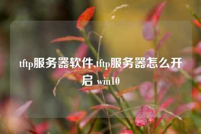 tftp服务器软件,tftp服务器怎么开启 win10