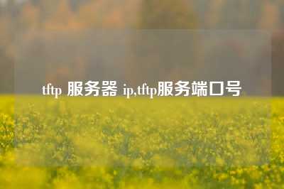 tftp 服务器 ip,tftp服务端口号