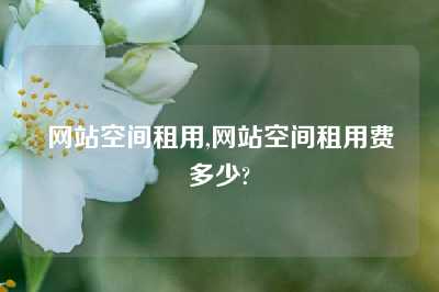 网站空间租用,网站空间租用费多少?