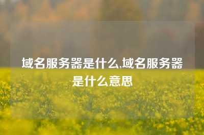 域名服务器是什么,域名服务器是什么意思