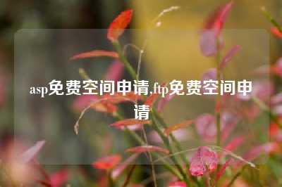 asp免费空间申请,ftp免费空间申请