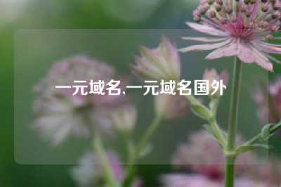 一元域名,一元域名国外