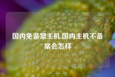 国内免备案主机,国内主机不备案会怎样
