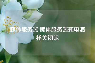媒体服务器,媒体服务器耗电怎样关闭呢
