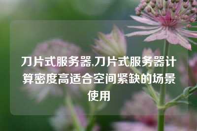 刀片式服务器,刀片式服务器计算密度高适合空间紧缺的场景使用