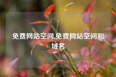 免费网站空间,免费网站空间和域名