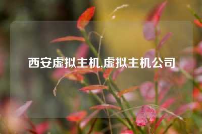 西安虚拟主机,虚拟主机公司