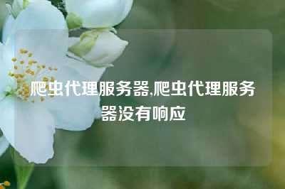 爬虫代理服务器,爬虫代理服务器没有响应