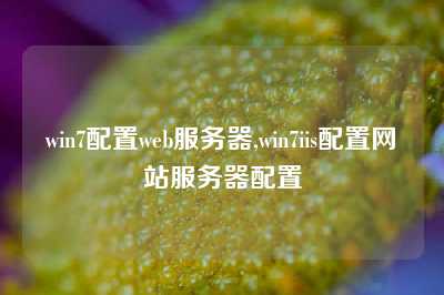 win7配置web服务器,win7iis配置网站服务器配置