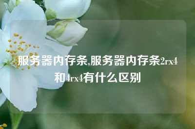服务器内存条,服务器内存条2rx4和4rx4有什么区别