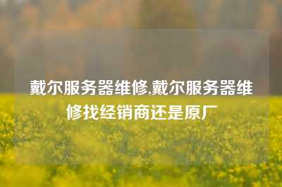 戴尔服务器维修,戴尔服务器维修找经销商还是原厂