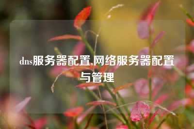 dns服务器配置,网络服务器配置与管理