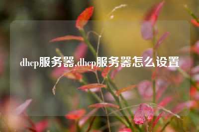 dhcp服务器,dhcp服务器怎么设置