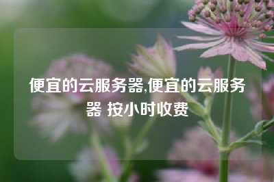 便宜的云服务器,便宜的云服务器 按小时收费
