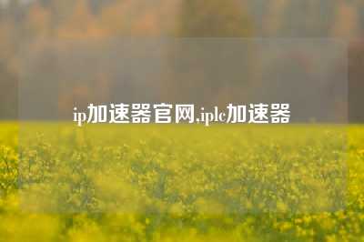 ip加速器官网,iplc加速器