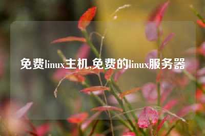 免费linux主机,免费的linux服务器