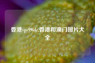 香港vps99idc,香港和澳门图片大全