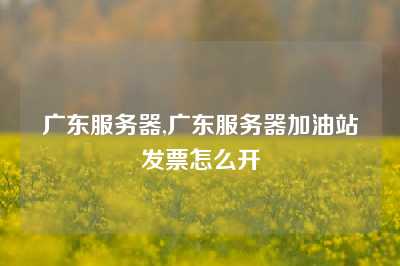 广东服务器,广东服务器加油站发票怎么开