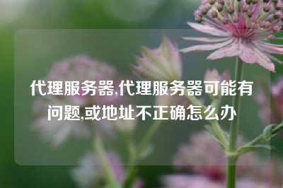 代理服务器,代理服务器可能有问题,或地址不正确怎么办