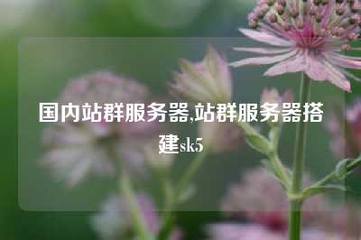 国内站群服务器,站群服务器搭建sk5