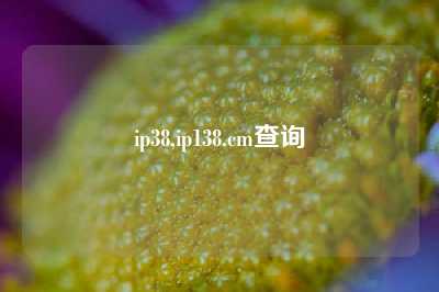ip38,ip138.cm查询