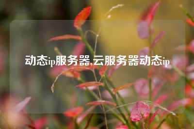 动态ip服务器,云服务器动态ip