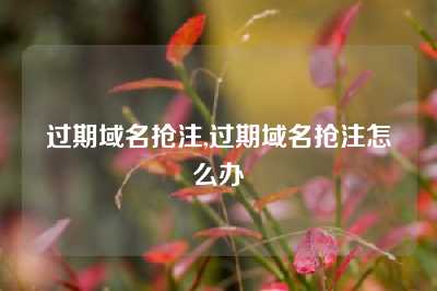 过期域名抢注,过期域名抢注怎么办