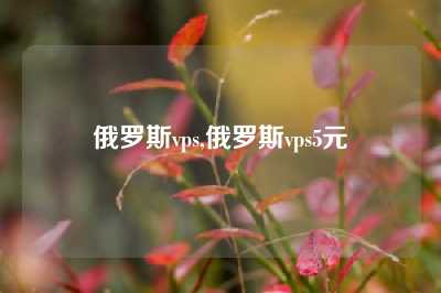 俄罗斯vps,俄罗斯vps5元