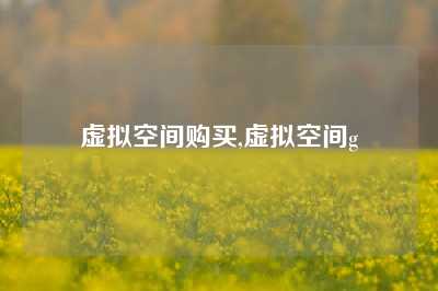 虚拟空间购买,虚拟空间g