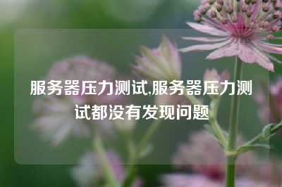 服务器压力测试,服务器压力测试都没有发现问题