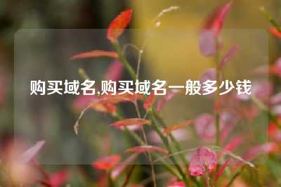 购买域名,购买域名一般多少钱