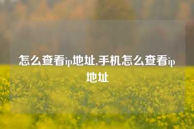 怎么查看ip地址,手机怎么查看ip地址