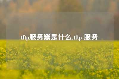 tftp服务器是什么,tftp 服务