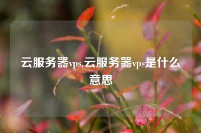 云服务器vps,云服务器vps是什么意思