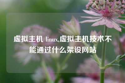 虚拟主机 linux,虚拟主机技术不能通过什么架设网站