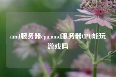 amd服务器cpu,amd服务器CPU能玩游戏吗